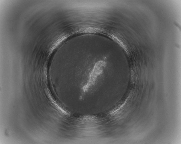 X0000098030581200803281411