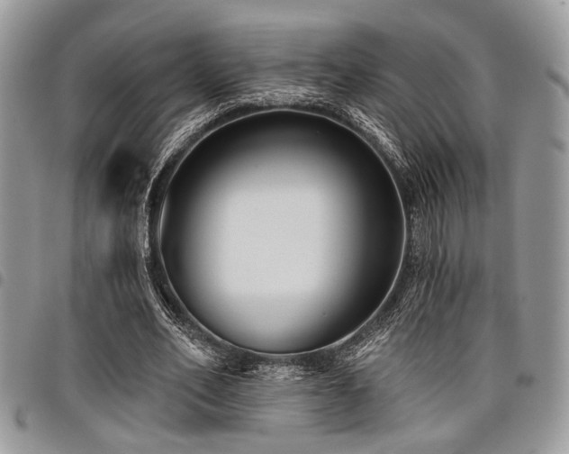 X0000098030582200803281411