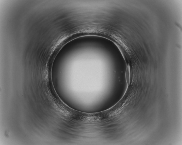 X0000098030584200803281411