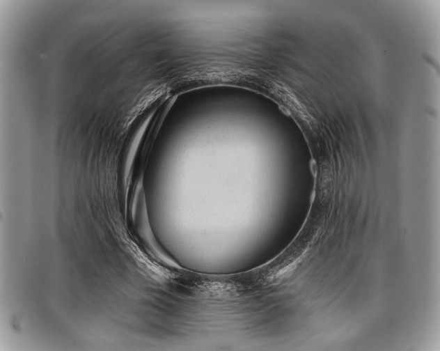 X0000098030585200803281411