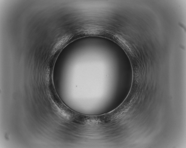 X0000098030586200803281411