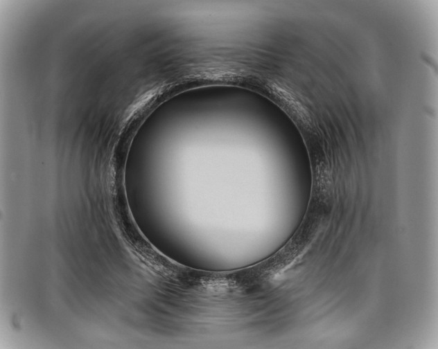 X0000098030587200803281411