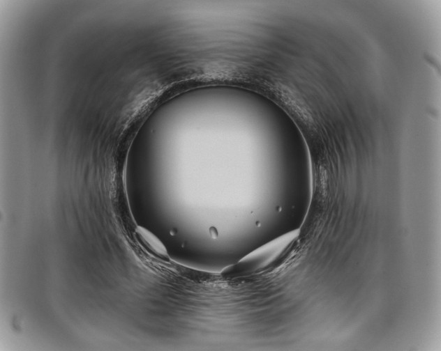 X0000098030588200803281411