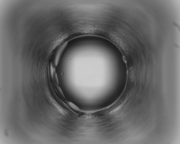 X0000098030589200803281410