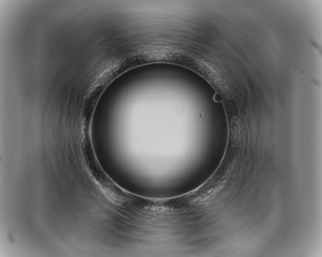 X0000098030590200803281410