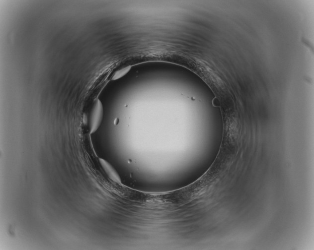 X0000098030591200803281410