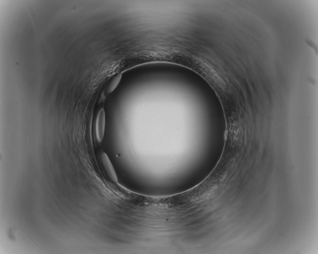 X0000098030593200803281410