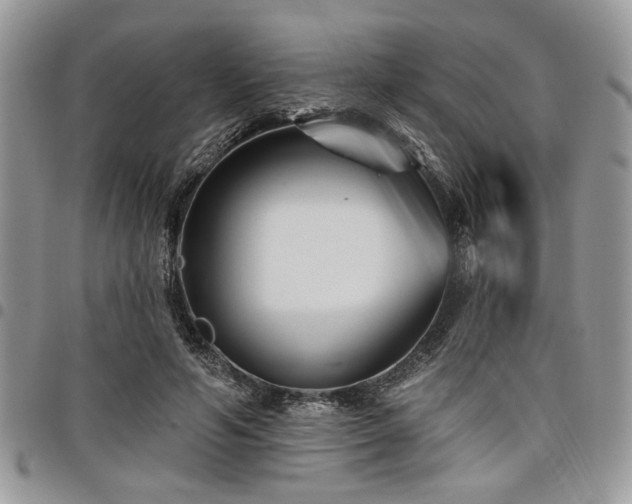 X0000098030594200803281410