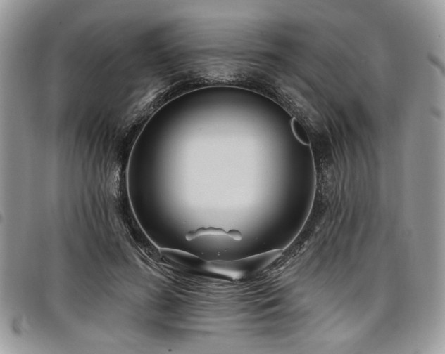 X0000098030596200803281410