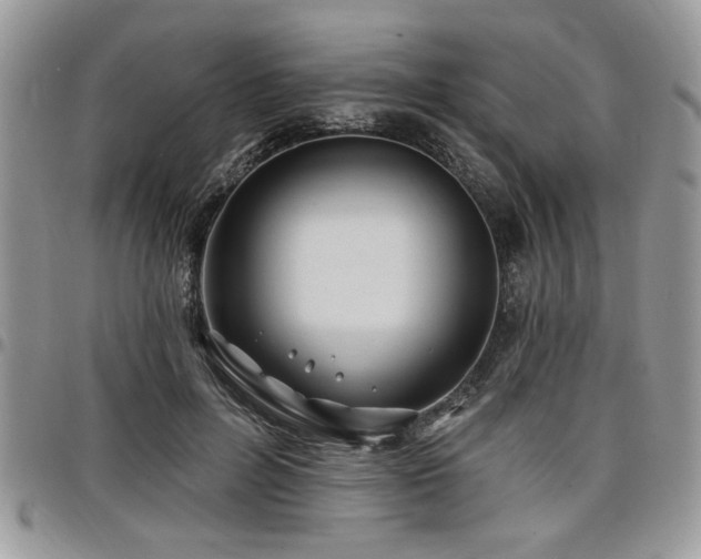 X0000098030600200803281410