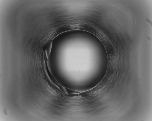 X0000098030601200803281410