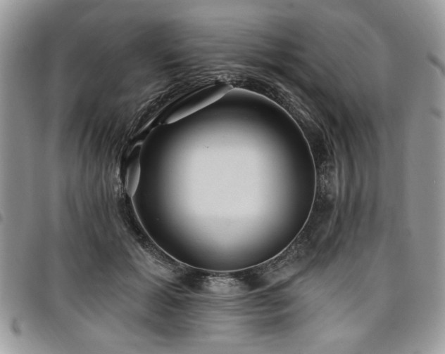 X0000098030605200803281410