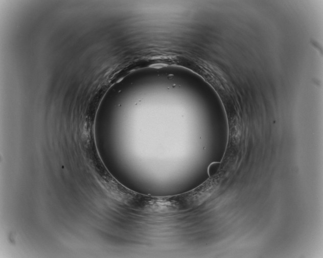 X0000098030607200803281410