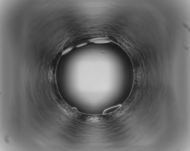 X0000098030611200803281410