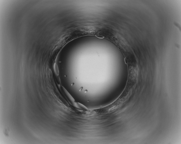 X0000098030612200803281410