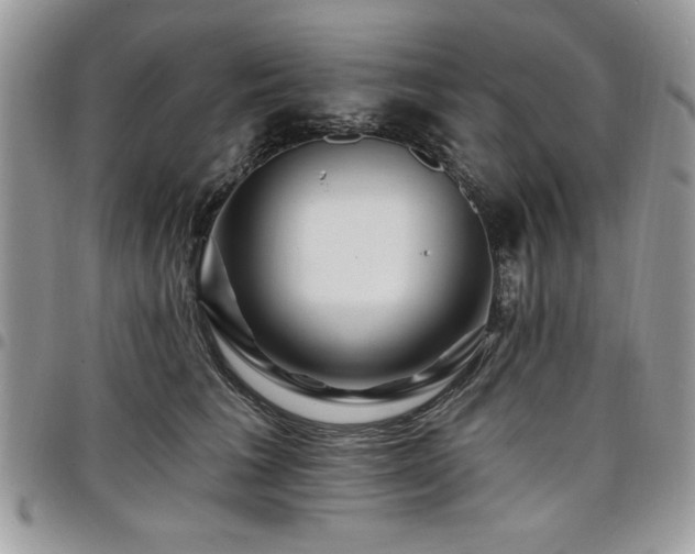 X0000098030613200803281410