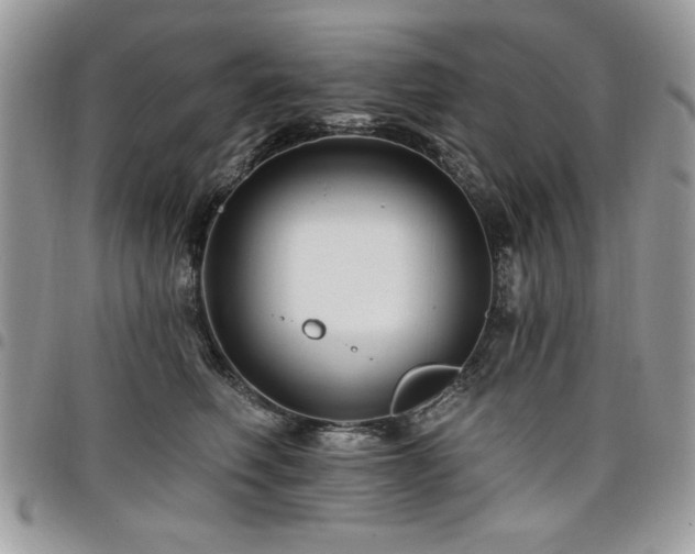 X0000098030614200803281410