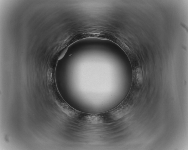 X0000098030615200803281410