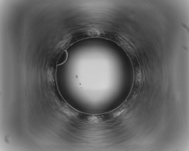 X0000098030616200803281410