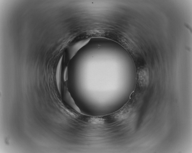 X0000098030617200803281410