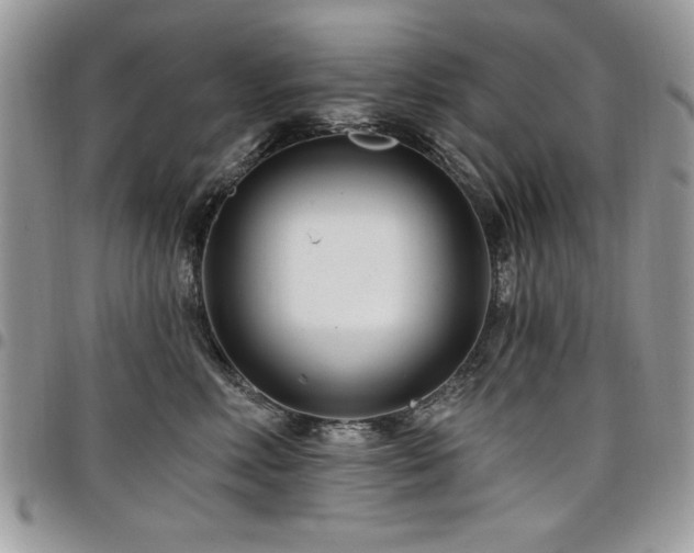 X0000098030618200803281410