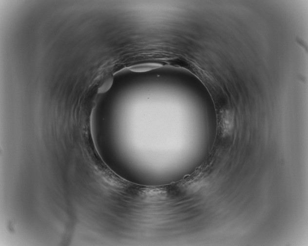 X0000098030619200803281410