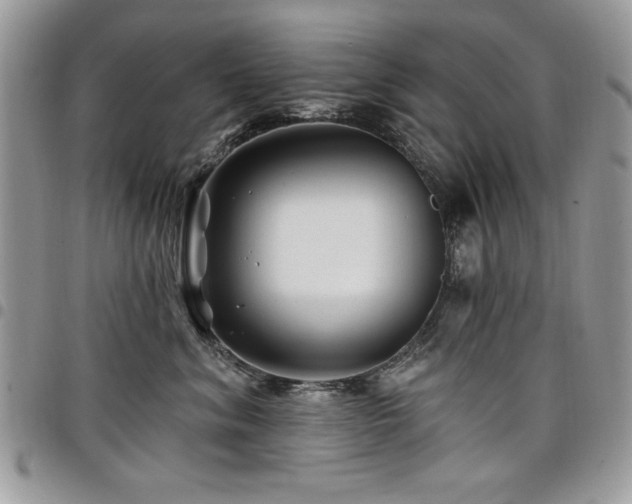 X0000098030620200803281410