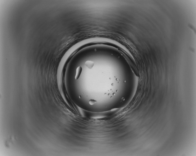 X0000098030621200803281410