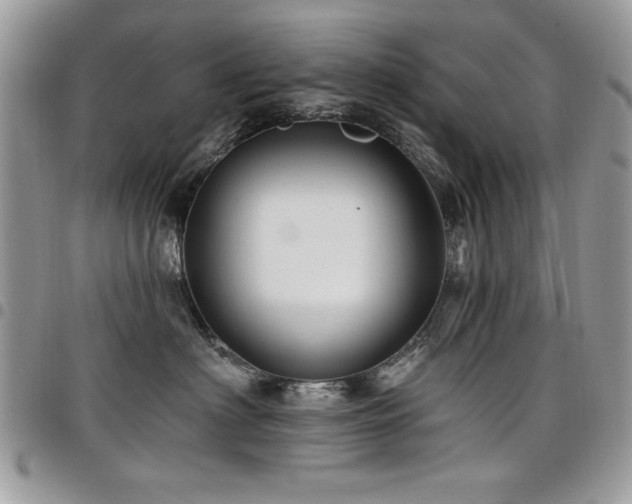 X0000098030622200803281410