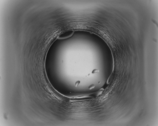 X0000098030625200803281409