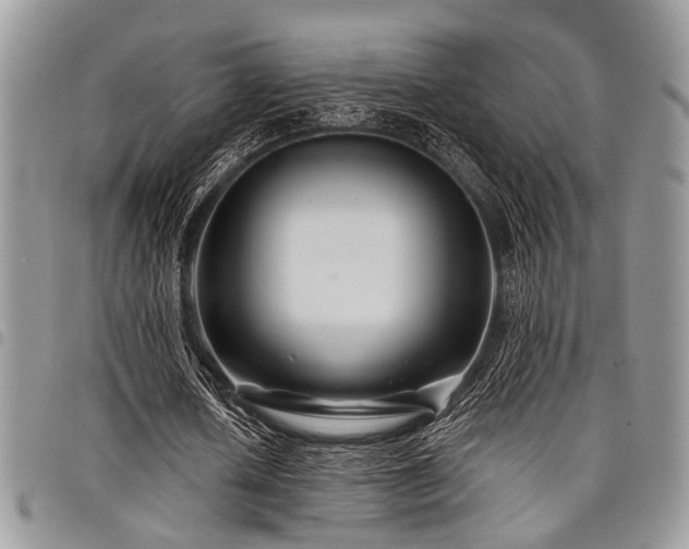 X0000098030626200803281409