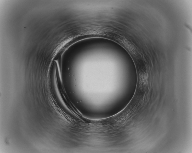 X0000098030628200803281409