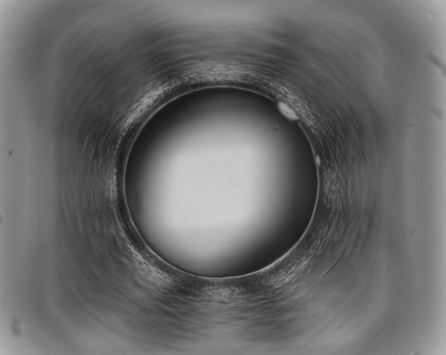 X0000098030629200803281409