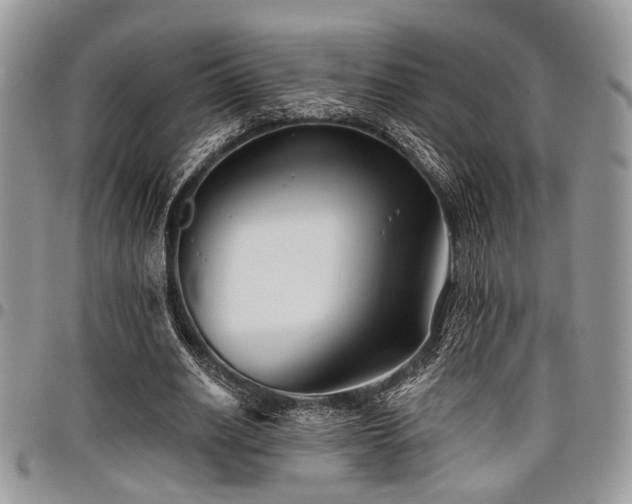 X0000098030630200803281409