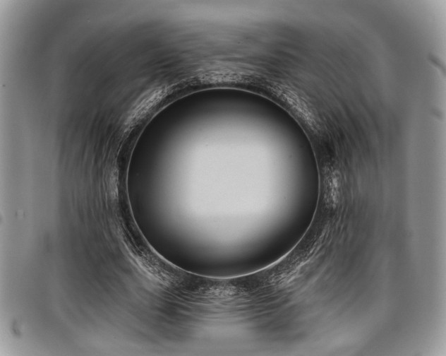 X0000098030631200803281409