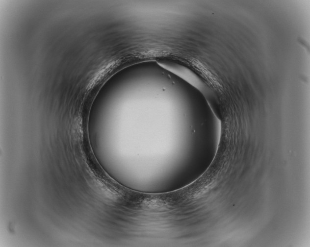 X0000098030634200803281409