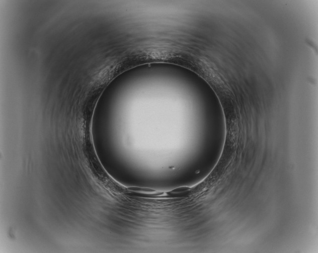 X0000098030639200803281410