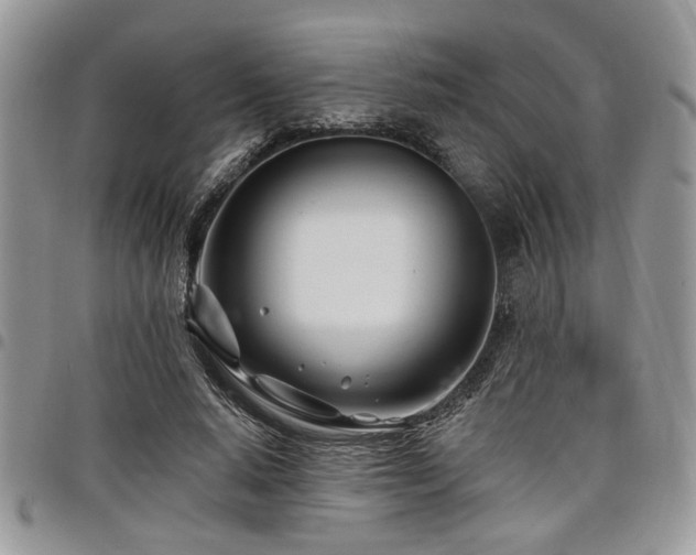 X0000098030640200803281410