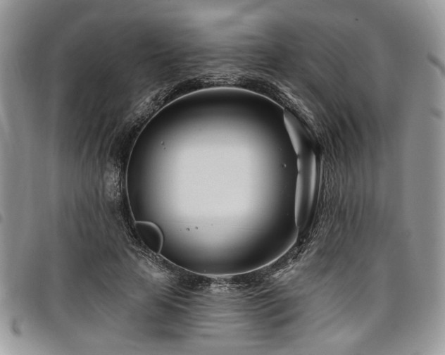 X0000098030641200803281410