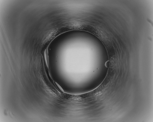 X0000098030642200803281410