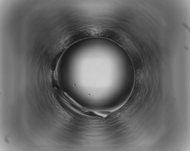 X0000098030650200803281410