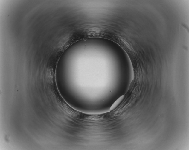 X0000098030661200803281410