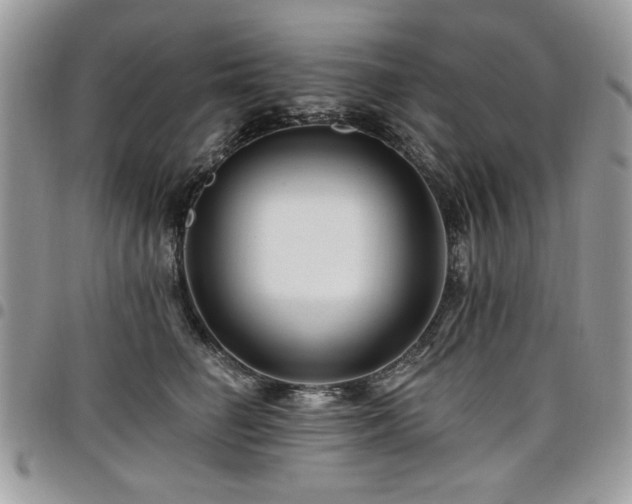 X0000098030662200803281410