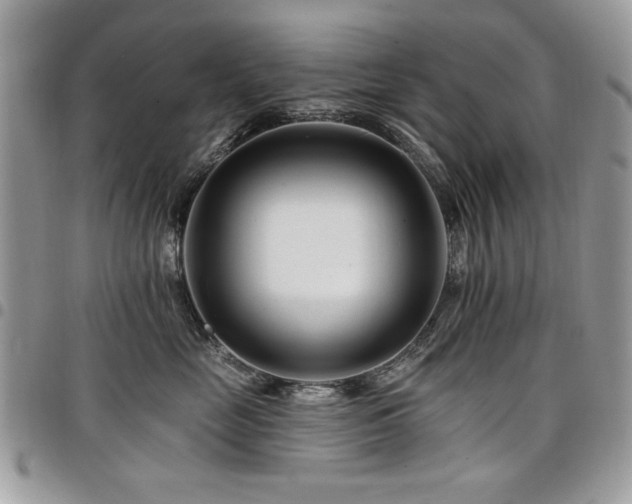 X0000098030669200803281410