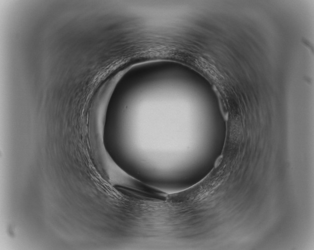 X0000098030673200803281409