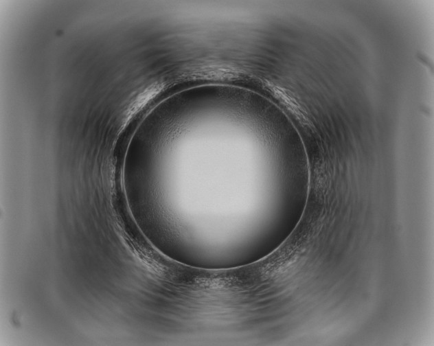 X0000098030679200803281409