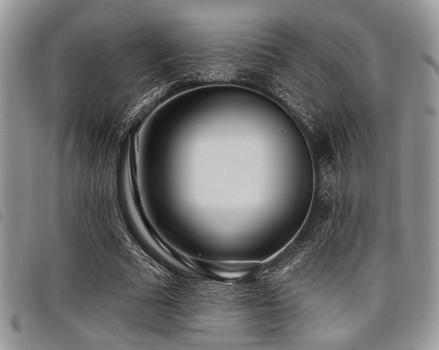 X0000098030681200803281409