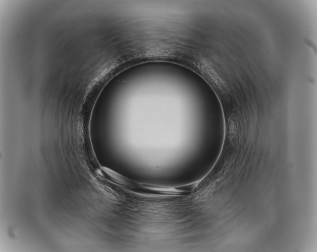 X0000098030684200803281409