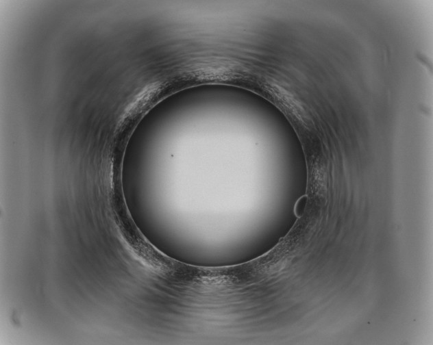 X0000098030686200803281409