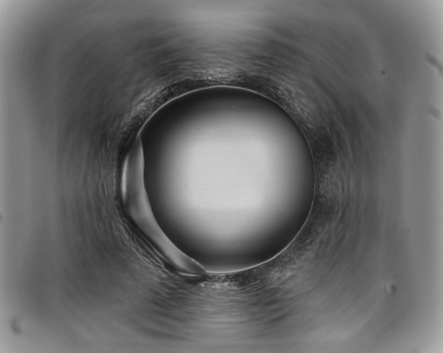 X0000098030689200803281409